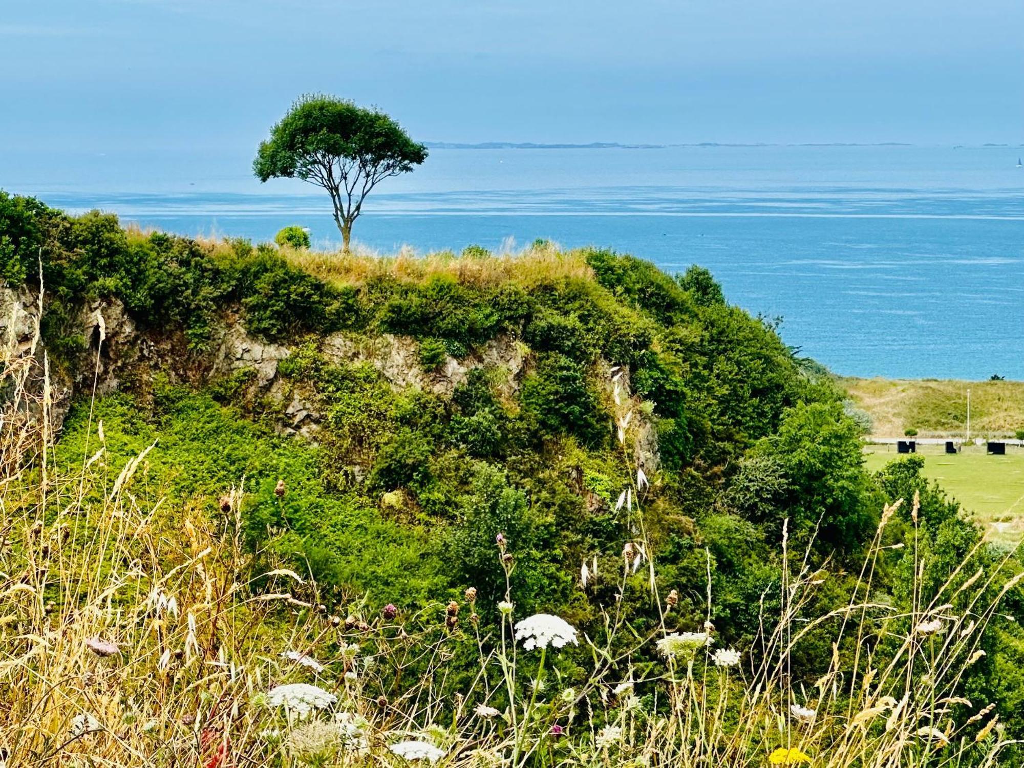 Le Refuge De Lalbatros Vert Donville-les-Bains Eksteriør billede